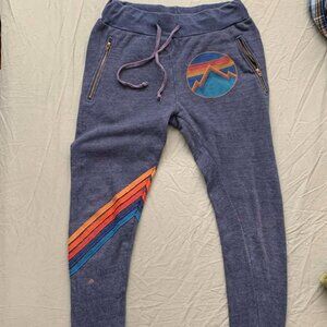 Aviator Nation Swetpants, Cobalt Blue with Rainbow Stripe
